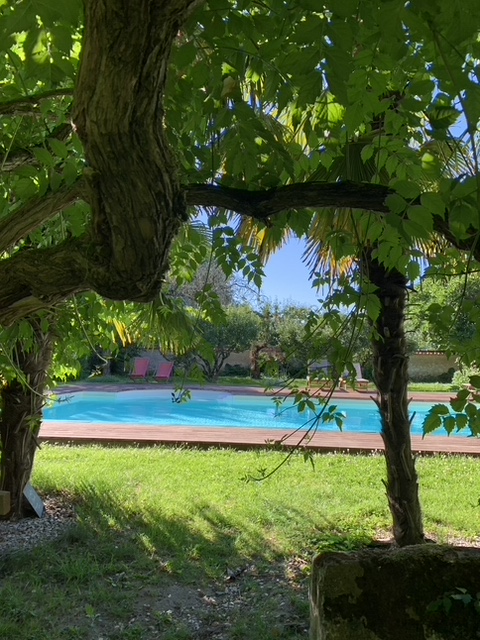 La piscine de La Villa Fleur